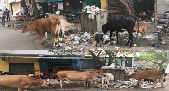 117c1473-0489-4988-85ac-d17f9c15eb3e copy