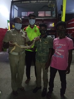 9A932FA1-4E6C-432A-B356-04C6A86C4D70