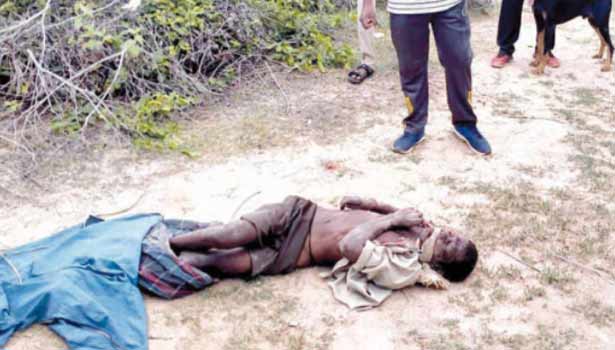 202011152015133759_Tamil_News_Tamil-News-worker-killed-near-pudukkottai_SECVPF