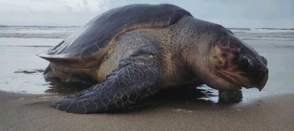 334FDA2B-78AE-4949-B994-29445EF4EB54