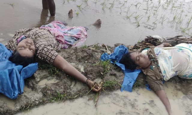 C0E7E9AE-DB0E-455B-9443-E69E3F342FEA