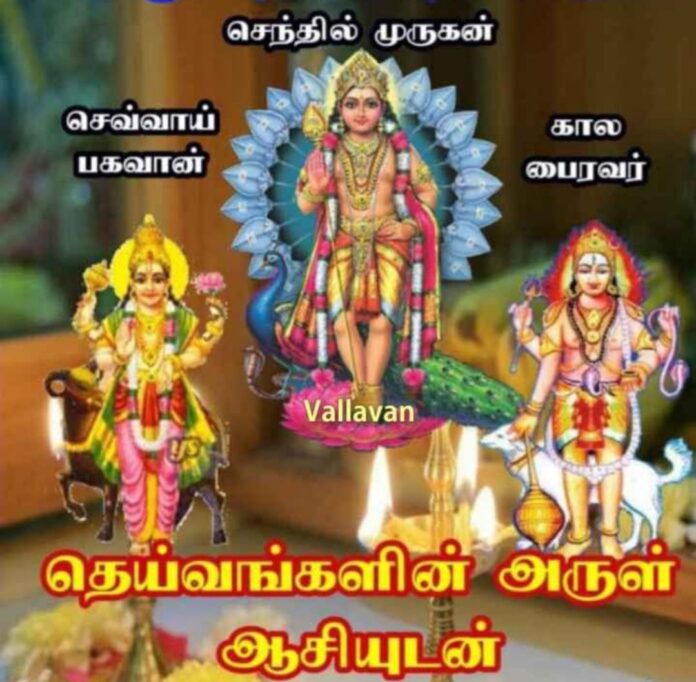WhatsApp Image 2023-08-10 at 14.35.18