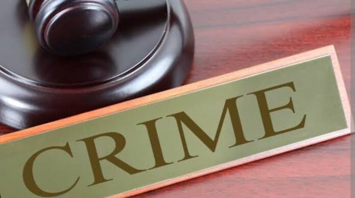 Screenshot_2024-02-12-09-13-34-44_40deb401b9ffe8e1df2f1cc5ba480b12