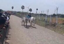 கலைஞர் 102வது பிறந்தநாள் முன்னிட்டு ரேக்ளா ரேஸ் :