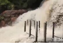 சுற்றுலா பயணிகளின் பாதுகாப்பு கருதி கோயில் நிர்வாகம் சார்பில் தடை